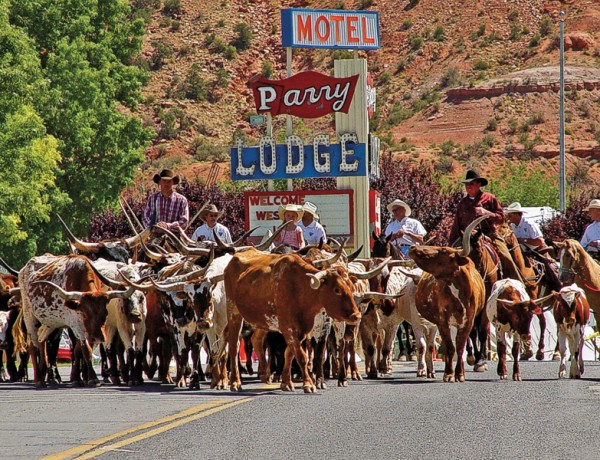 TWT_Lead_Western-Legends-Cattle-Drive-parade_scaled