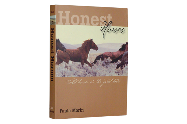 honest-horses