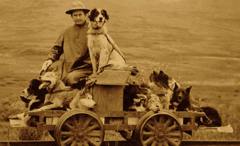 faithful_dog_sled_dogmobile_alaska_rail-cart