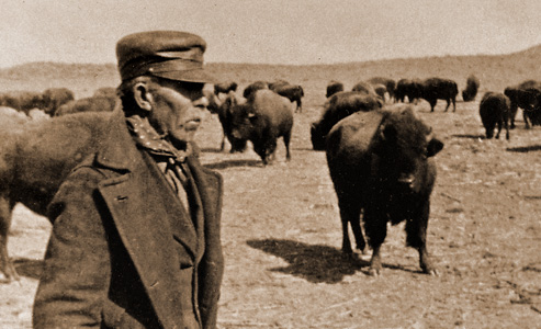 sam_burrow_manager-charles_goodnight-ranch_buffalo.
