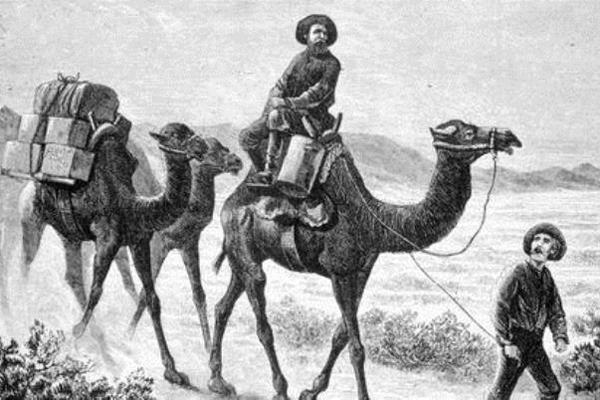 camel-corps-blog