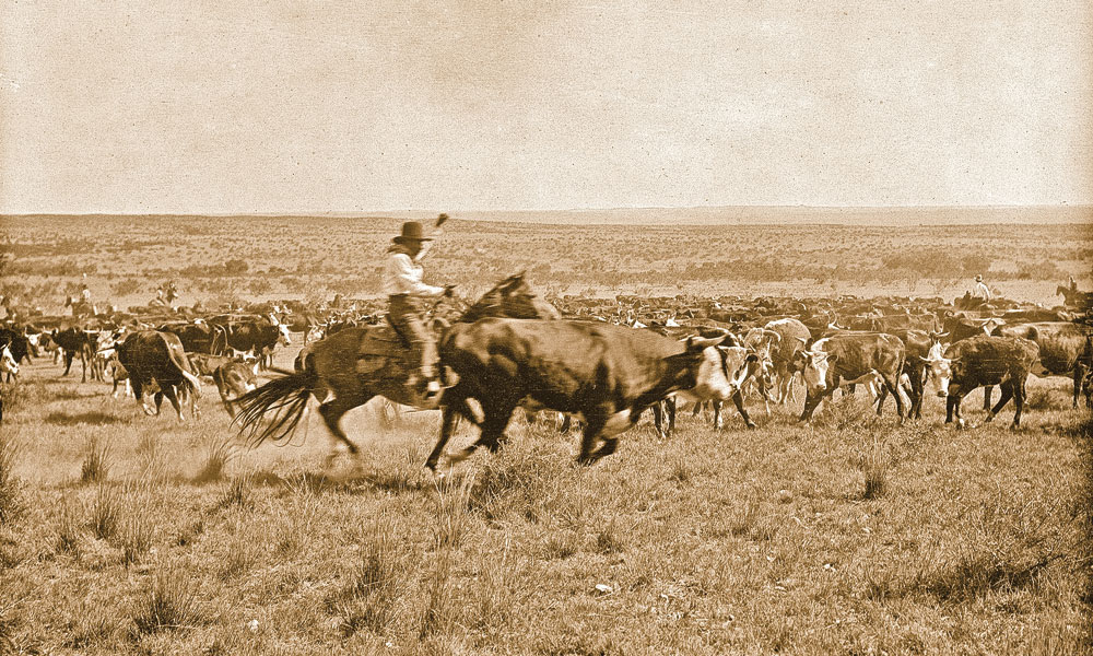 Like Charles Goodnight’s JA Ranch, the 35,000-acre LS Ranch is one of the big cattle operations still in operation since its founding. In 1907, LS hands worked and branded the herd for their owners, Fort Worth’s Swift and Company. – Bequest of Mary Alice Pettis and Erwin E. Smith Collection of the Library of Congress, Amon Carter Museum of American Art, Fort Worth, Texas, © Erwin E. Smith Foundation, LC.559.149. –