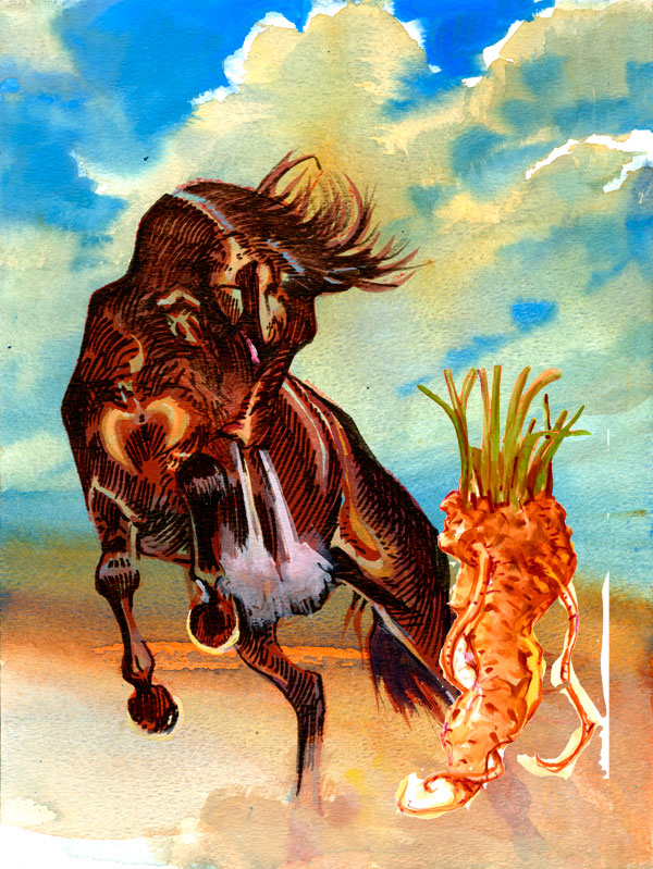 true west moments horses hate horseradish by bob boze bell