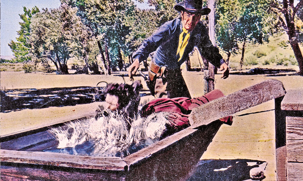 Durando also doubled Gates in the water trough scene. The actresses switched for the scene when Scott throws the lady in the trough to save her from the rain of bullets pouring into Comanche Station. 
