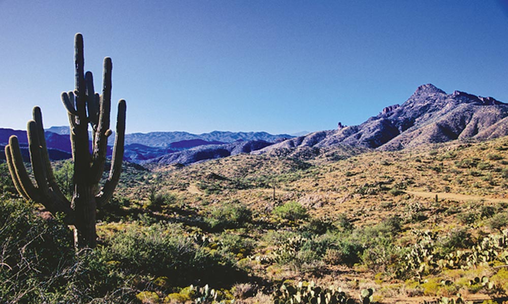 lost dutchman superstitions true west